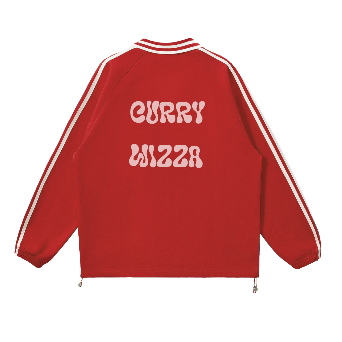 CW - Contrast Striped Lapel Collar Sweatshirt