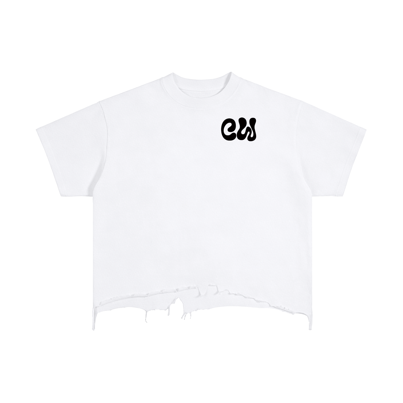 CW - Vintage Wash Boxy Distressed Hem T-Shirt