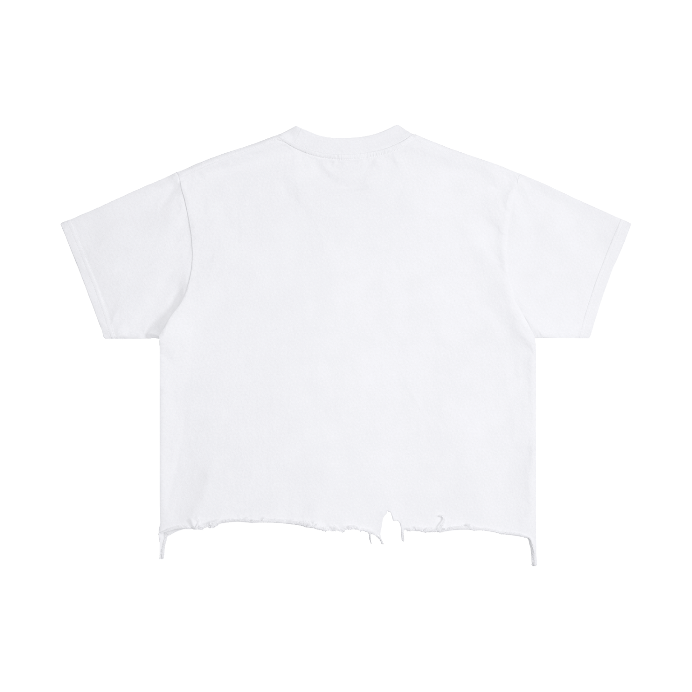 CURRY WIZZA - Vintage Wash Boxy Distressed Hem T-Shirt