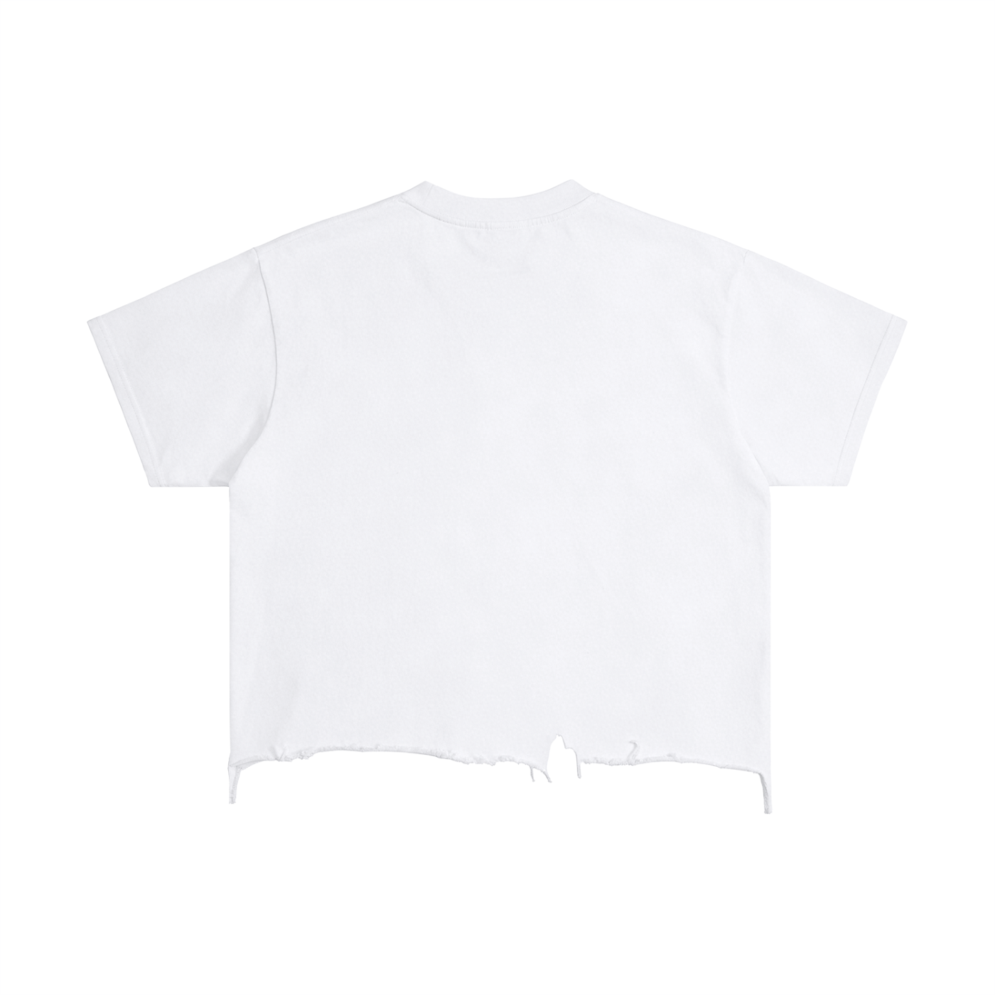 CURRY WIZZA - Vintage Wash Boxy Distressed Hem T-Shirt